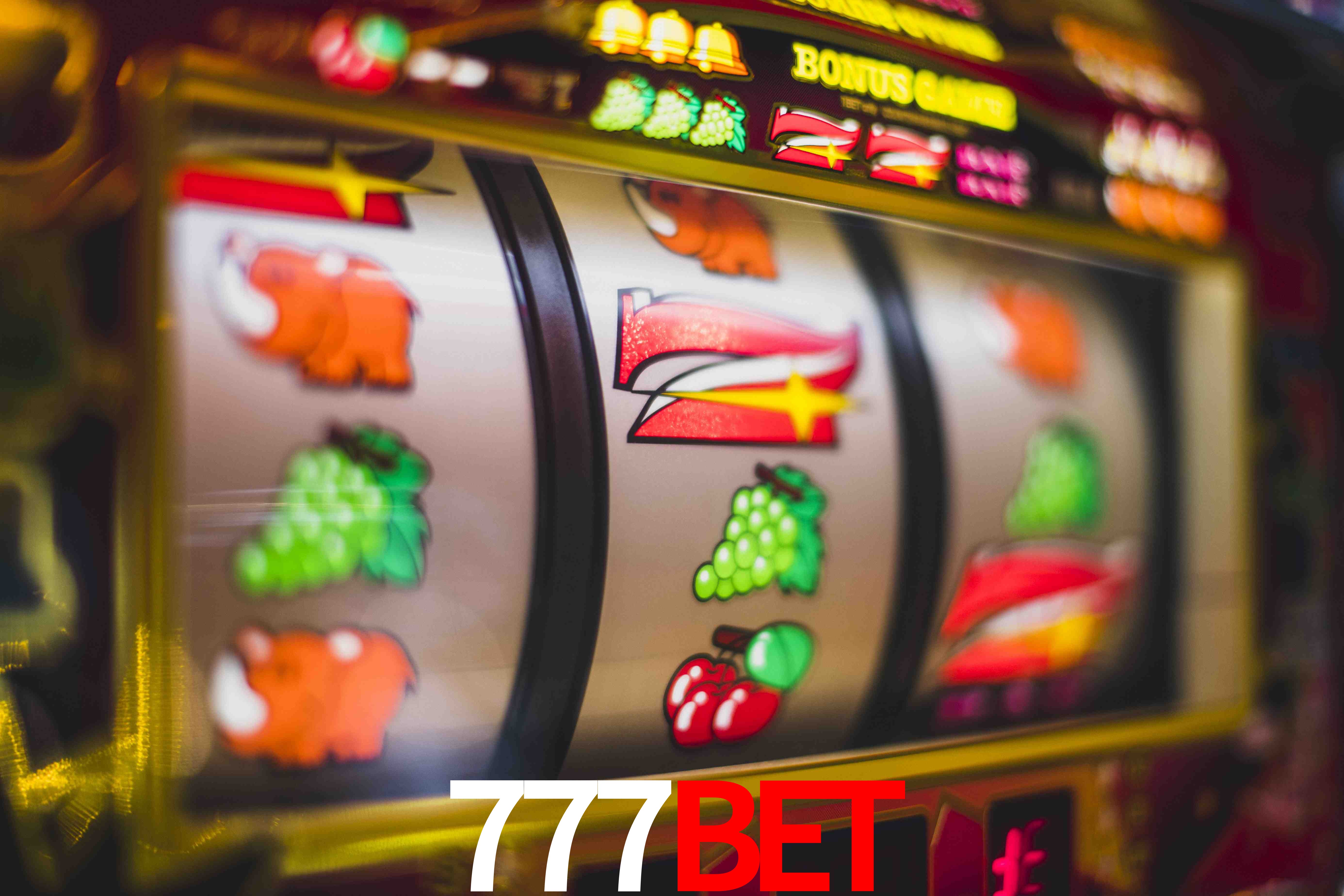 Experiência VIP 777BET